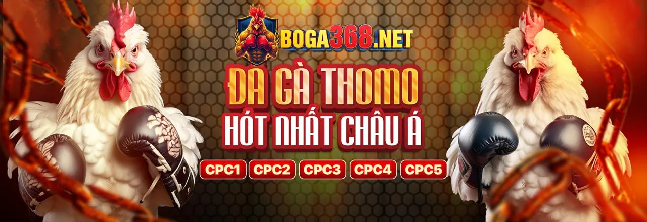 Đá gà K88 Login 2026 - Các trận đấu gà kịch tính trên nền tảng
